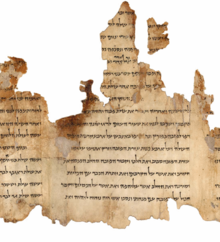 Dead Sea Temple Scroll.