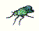 Fly mini icon.gif
