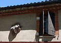 Maison-mouche.JPG